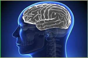 چطور از مغزمان در برابر سکته مغزی محافظت کنیم؟